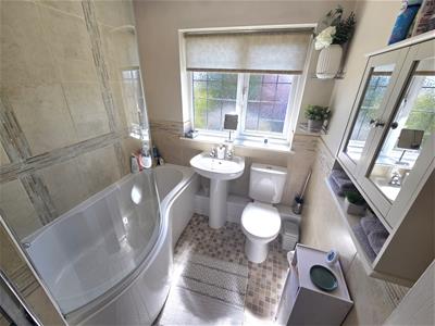 Picture 17